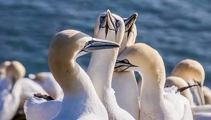 爱游戏娱乐-运动装备质量检测技术提升，运动装备鉴定