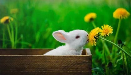 爱游戏娱乐-运动装备质量检测技术提升，运动装备鉴定