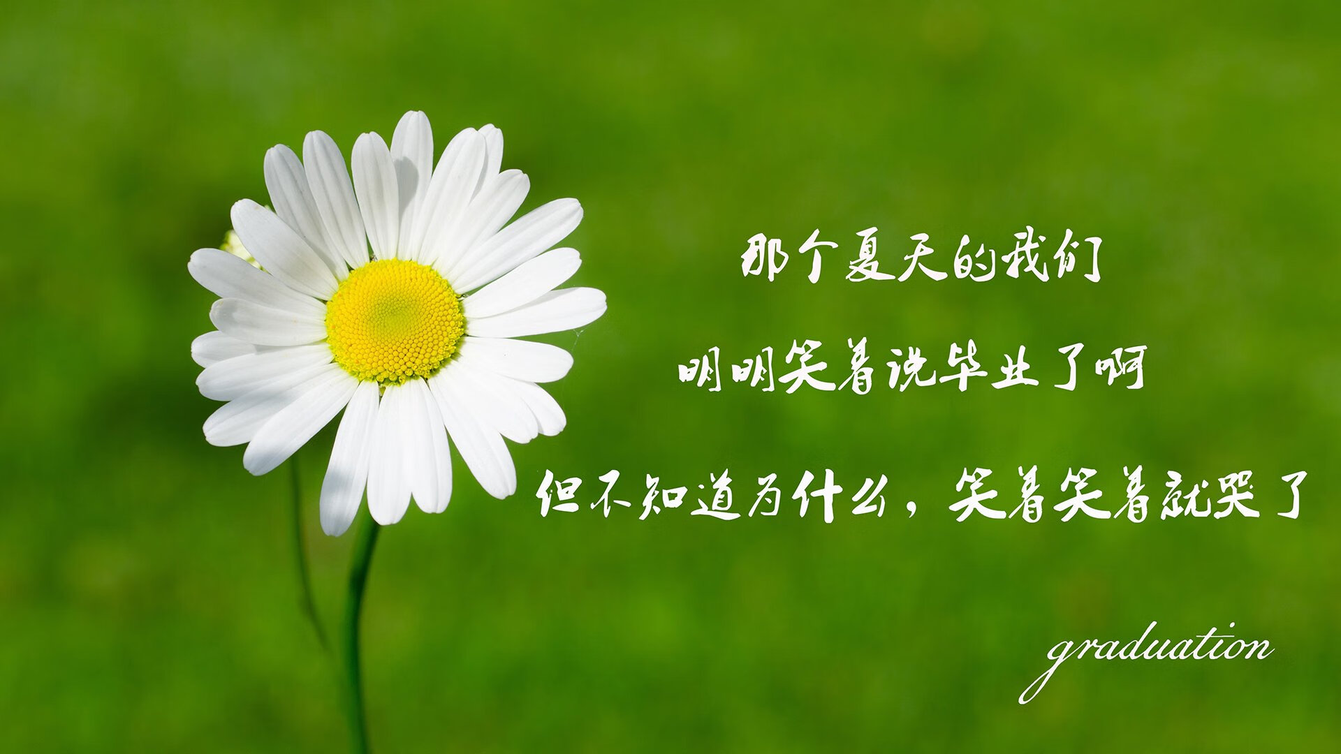 新秀合同谈判：背后隐藏的“潜规则”揭秘，新秀合同续约