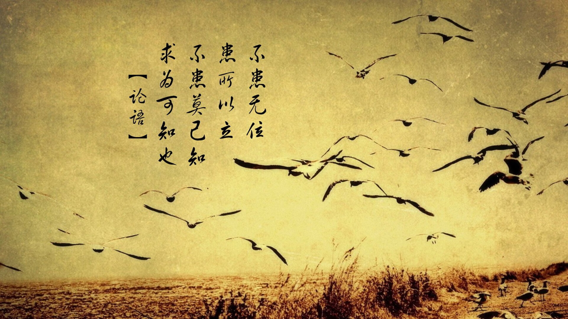 法甲“战术风暴”再起，比赛观赏性增强，法甲战报