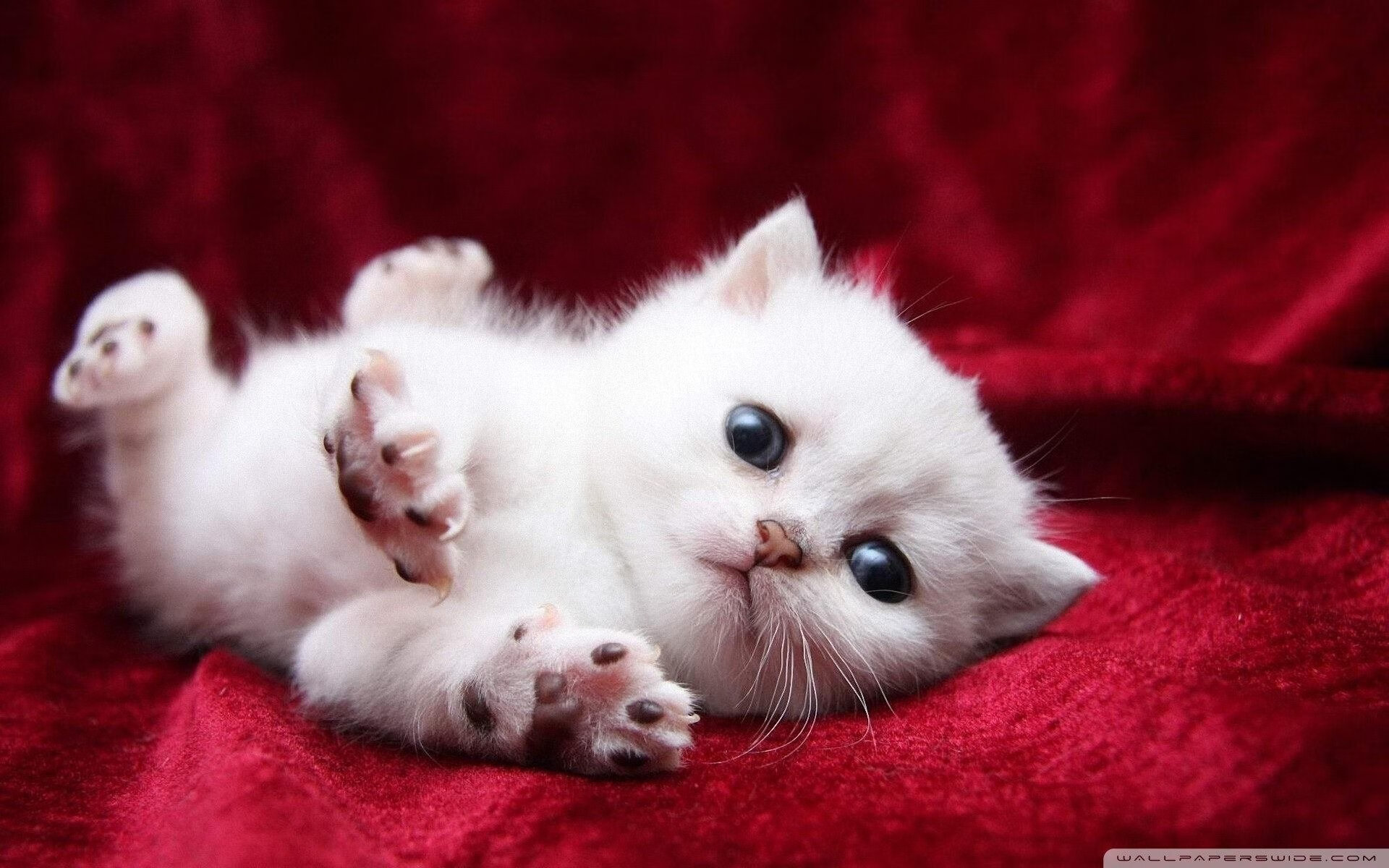 高校体育场馆开放管理与使用效率提升策略,高校体育场馆对外开放的意义