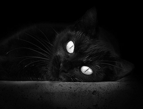 “牛仔3K亲子跑:一起跑出欢乐,创造亲子回忆”