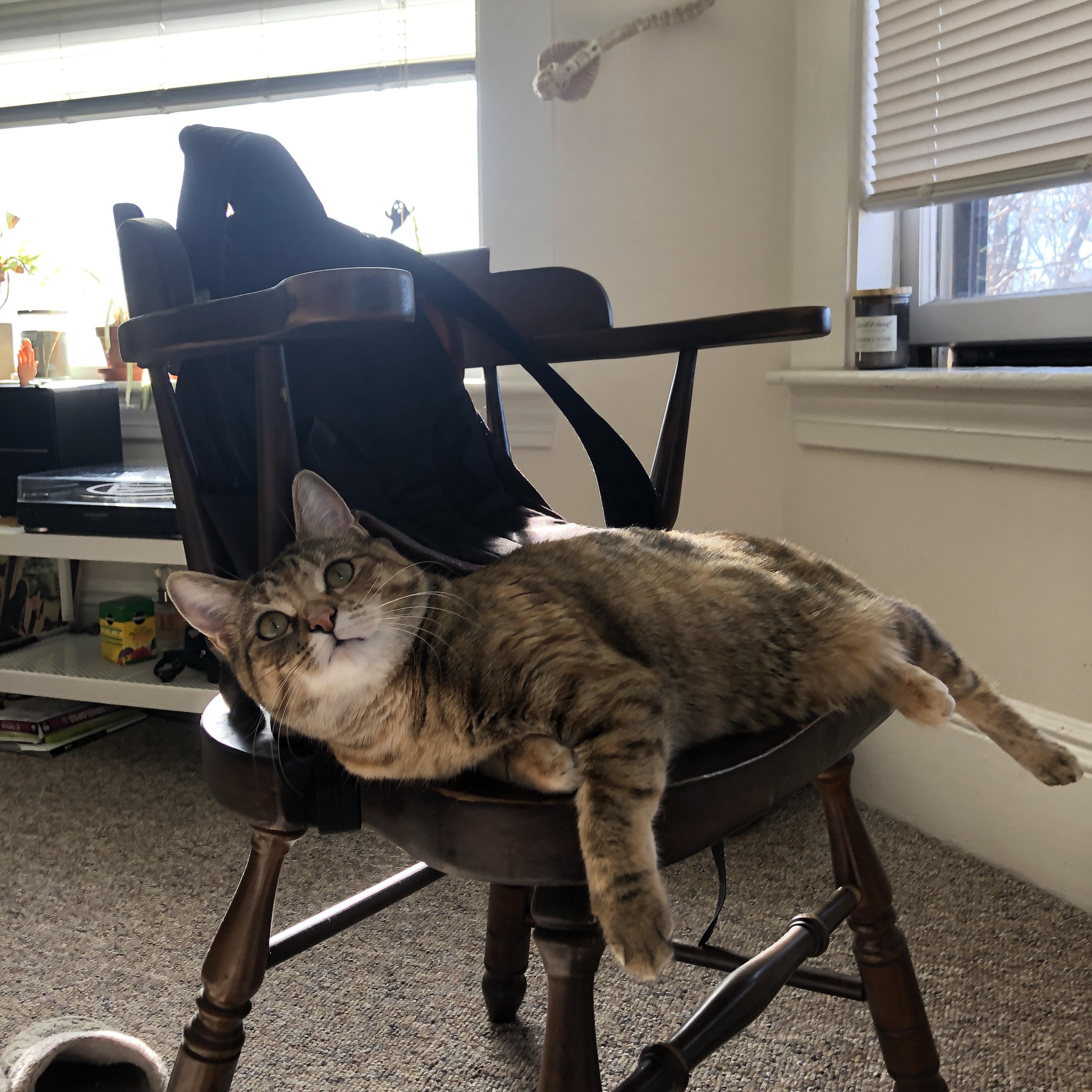 国家队比赛风格缺乏鲜明特色，国家队表现