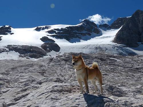 快攻中第一步启动的重要性解析,快攻都是由发动与接应推进结束三个阶段组成