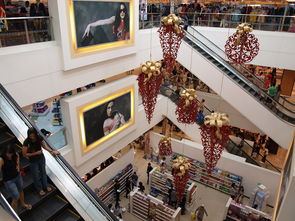 爱游戏娱乐平台-迈向未来：Chinese Taipei团队在国际赛场的崭新发展，chinese of taipei