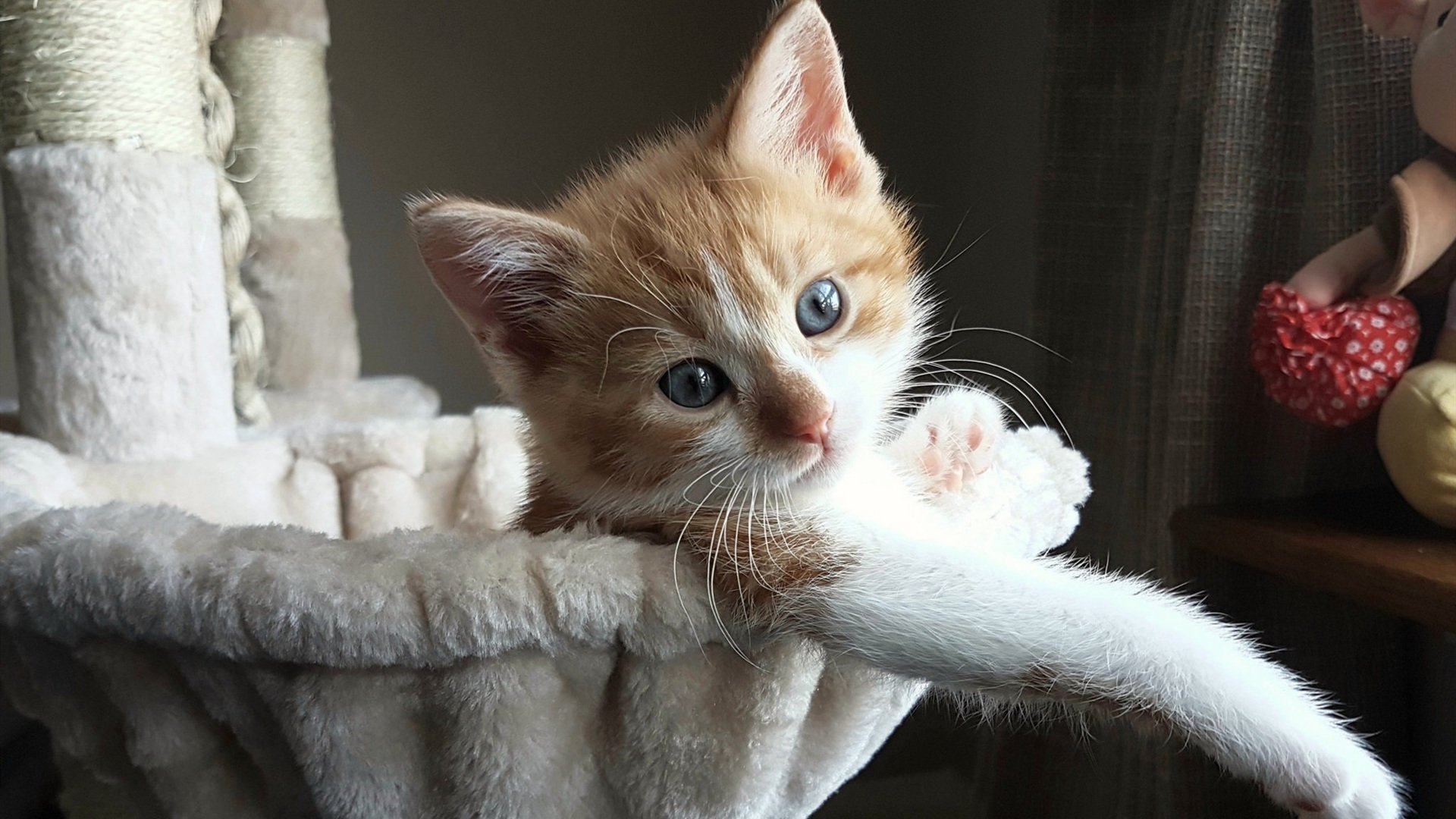 极限运动器材科技展聚焦未来趋势，极限运动市场分析