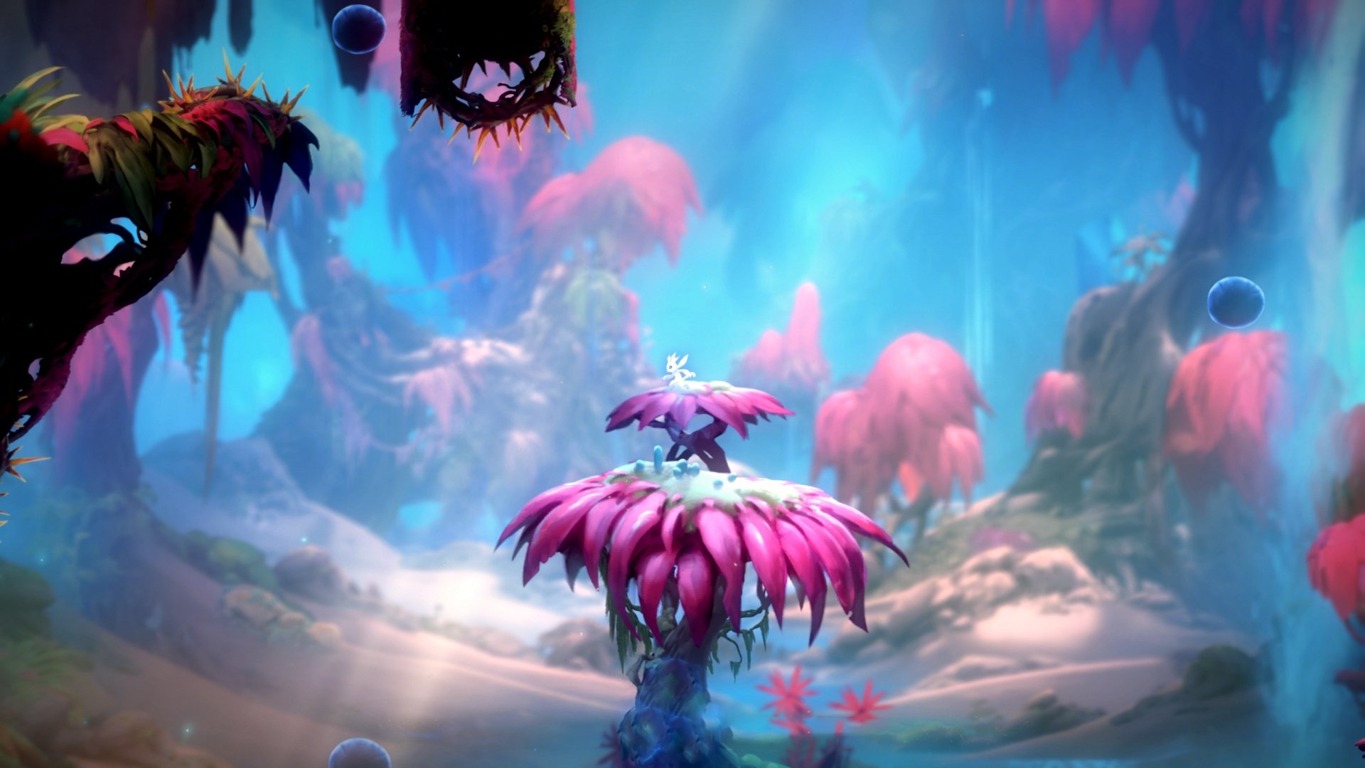 袋鼠队灵活的反击战术，时常令对手防不胜防，袋鼠攻击