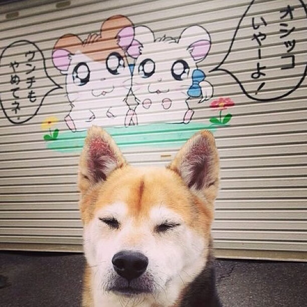 詹姆斯抢断致胜湖人再度问鼎榜首，詹姆斯湖人揭幕战